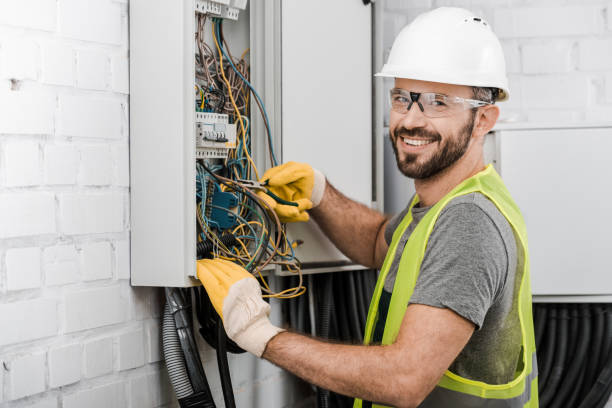Best Electrical Wiring Services  in Luna Pier, MI