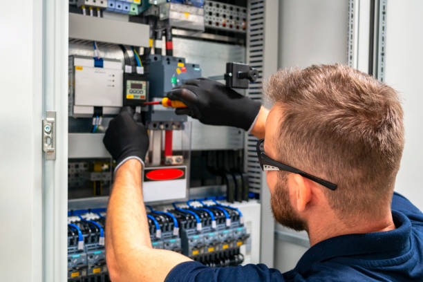 Best Home Electrical Repair  in Luna Pier, MI