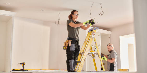 Best Electric Panel Repair  in Luna Pier, MI