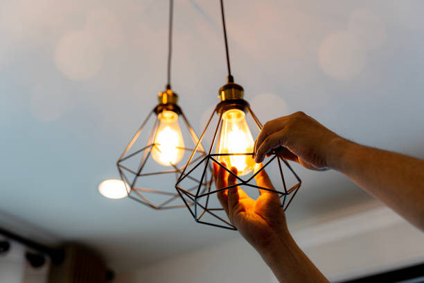 Best 24-Hour Electrician  in Luna Pier, MI