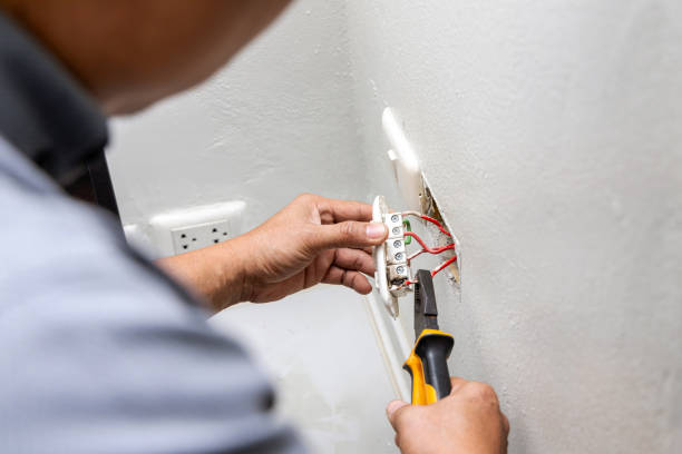 Best Industrial Electrical Services  in Luna Pier, MI
