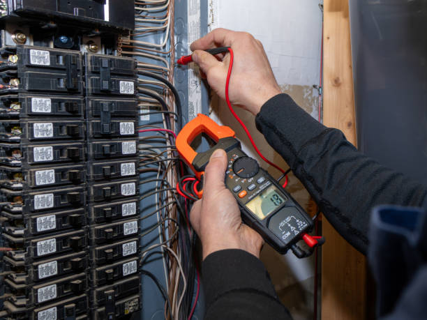 Best Generator Installation Services  in Luna Pier, MI
