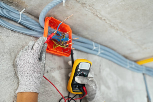 Best Commercial Electrician Services  in Luna Pier, MI