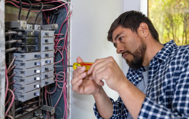 Best Electrician for Home Renovation  in Luna Pier, MI